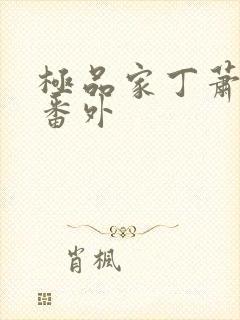 极品家丁萧夫人番外封面