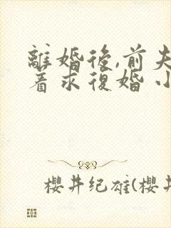 离婚后,前夫哭着求复婚 小说免费阅读