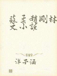 苏柔赵刚林风全文小说