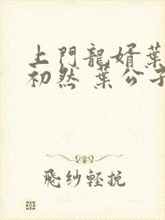 上门龙婿叶辰萧初然 叶公子