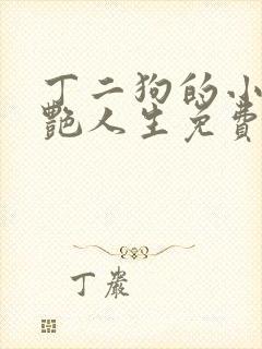 丁二狗的小说猎艳人生免费阅读全文封面
