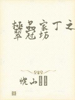 极品家丁之改编翠冠坊