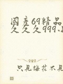 国产69精品久久久久999小说
