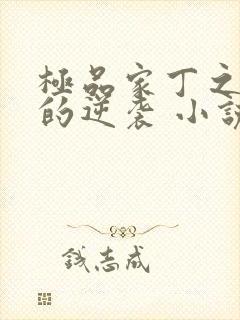 极品家丁之诚王的逆袭 小说