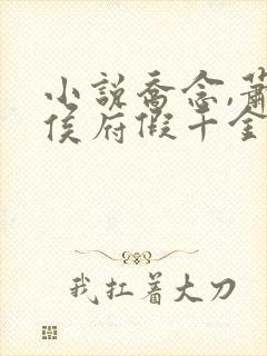 小说乔念,萧衡侯府假千金浣衣局