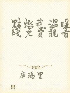 点燃我温暖你在线免费观看电视剧