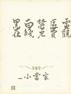 黑白禁区电视剧在线免费观看封面