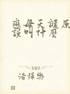 恋母天谴原著小说叫什么封面