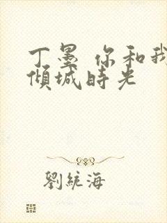 丁墨 你和我的倾城时光