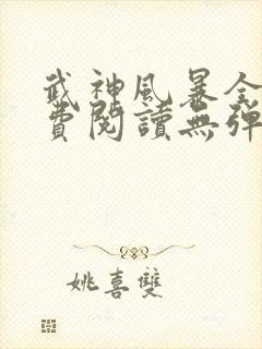 武神风暴全文免费阅读无弹窗笔趣阁封面