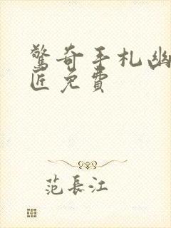 惊奇手札幽冥诡匠免费