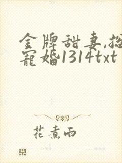 金牌甜妻,总裁宠婚1314txt封面