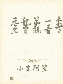 元龙第一季全集免费观看下载