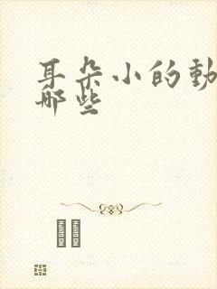 耳朵小的动物有哪些