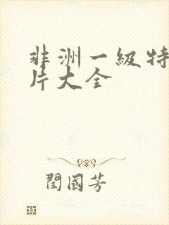 非洲一级特黄大片大全