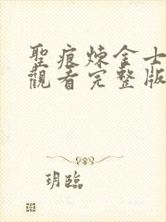 圣痕炼金士免费观看完整版在线全集