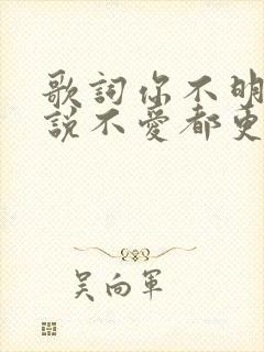 歌词你不明白我说不爱都更加爱