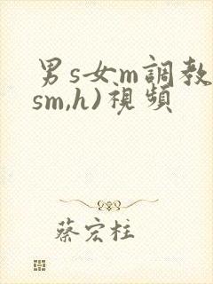 男s女m调教(sm,h)视频