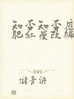 知否知否应是绿肥红瘦改编自哪部小说