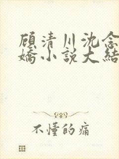 顾清川沈念李娇娇小说大结局