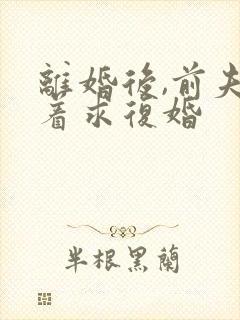 离婚后,前夫哭着求复婚