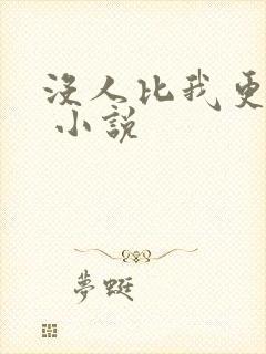 没人比我更爱你 小说