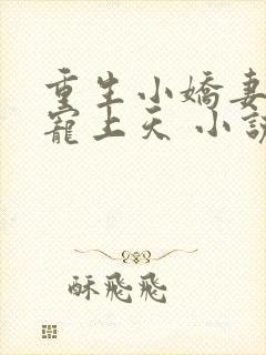 重生小娇妻大佬宠上天 小说