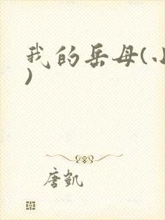 我的岳母(小说)