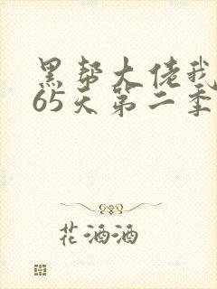 黑帮大佬我的365天第二季电视剧