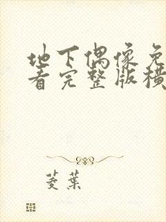 地下偶像免费观看完整版横风动漫