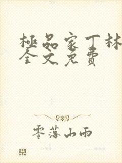 极品家丁林晚荣全文免费封面