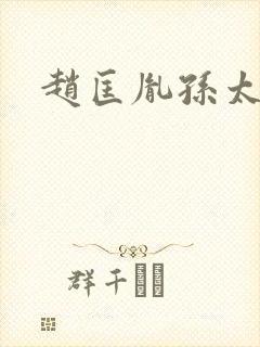 赵匡胤孙太真封面