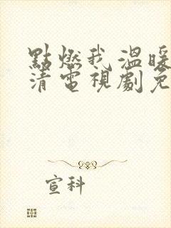 点燃我温暖你超清电视剧免费观看