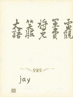 大笑将军电影国语版免费观看