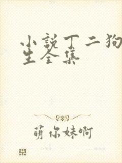 小说丁二狗的人生全集