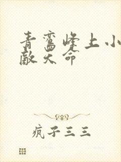 青鸾峰上小说无敌天命封面