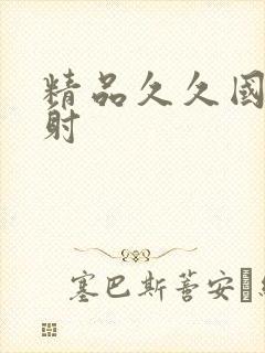 精品久久国产内射