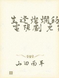 生逢灿烂的日子 电视剧 免费观看