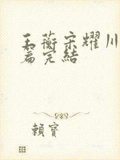 王蘅宋耀川番外篇完结