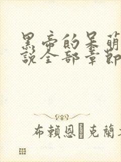 黑帝的呆萌妻小说全部章节封面