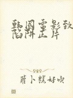 韩国电影致命的陷阱正片