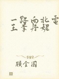 一路向北电影 王李丹妮