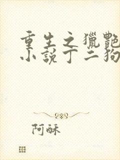 重生之猎艳人生小说丁二狗免费阅读封面