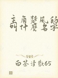 主角楚风的小说叫什么名字封面