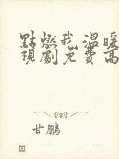 点燃我温暖你电视剧免费高清完整版