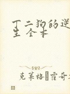 丁二狗的逆袭人生 全本