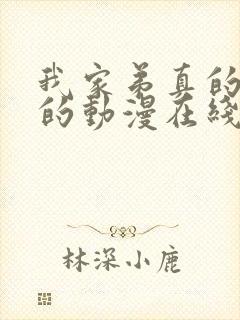 我家弟真的很棒的动漫在线观看全集高清封面