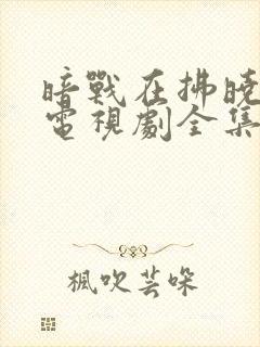 暗战在拂晓之前电视剧全集免费观看