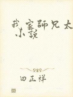 我家师兄太稳健 小说