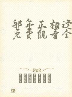 那年正相逢短剧免费观看全集